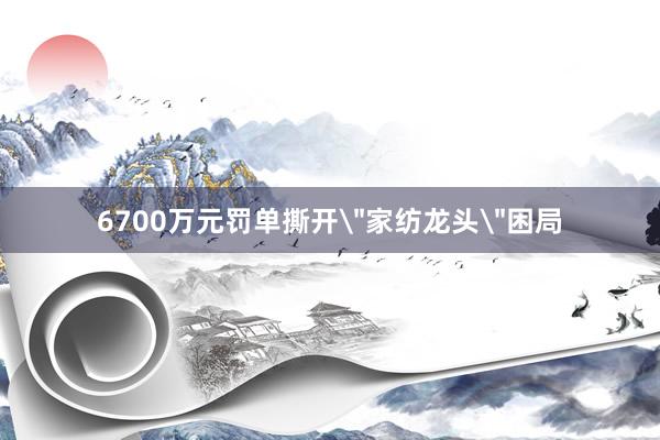 6700万元罚单撕开＂家纺龙头＂困局