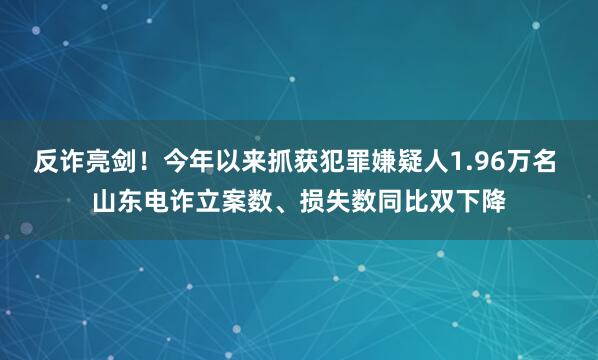 反诈亮剑！今年以来抓获犯罪嫌疑人1.96万名 山东电诈立案数、损失数同比双下降