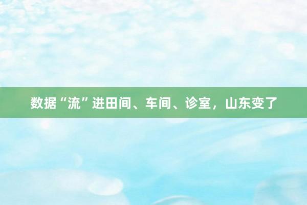 数据“流”进田间、车间、诊室，山东变了