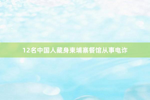 12名中国人藏身柬埔寨餐馆从事电诈