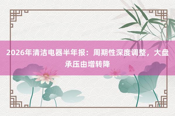2026年清洁电器半年报：周期性深度调整，大盘承压由增转降