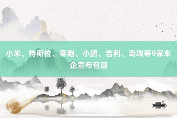 小米、特斯拉、零跑、小鹏、吉利、奇瑞等9家车企宣布召回