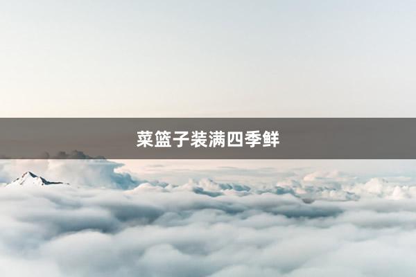 菜篮子装满四季鲜