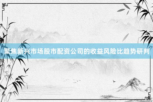 聚焦新兴市场股市配资公司的收益风险比趋势研判