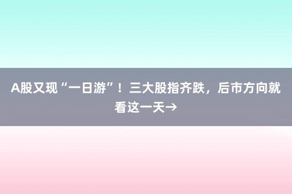 A股又现“一日游”！三大股指齐跌，后市方向就看这一天→