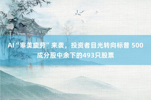 AI“审美疲劳”来袭，投资者目光转向标普 500成分股中余下的493只股票