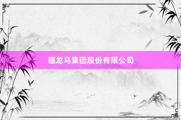 福龙马集团股份有限公司