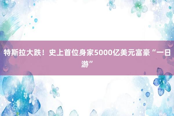 特斯拉大跌！史上首位身家5000亿美元富豪“一日游”