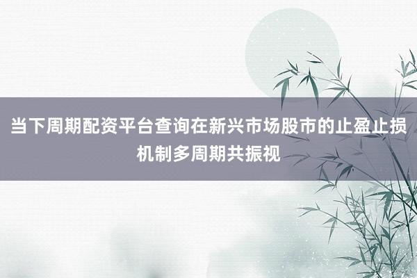 当下周期配资平台查询在新兴市场股市的止盈止损机制多周期共振视