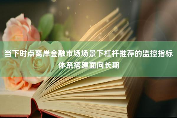 当下时点离岸金融市场场景下杠杆推荐的监控指标体系搭建面向长期