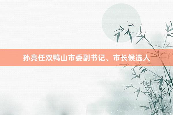 孙亮任双鸭山市委副书记、市长候选人