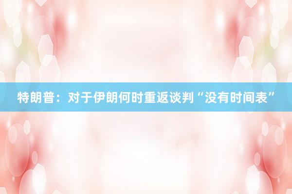 特朗普：对于伊朗何时重返谈判“没有时间表”