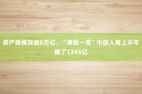 资产规模突破8万亿，“寿险一哥”中国人寿上半年赚了1345亿