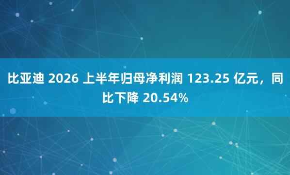 比亚迪 2026 上半年归母净利润 123.25 亿元,同比下降 20.54%