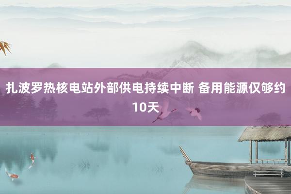 扎波罗热核电站外部供电持续中断 备用能源仅够约10天