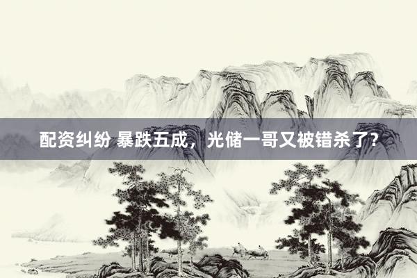 配资纠纷 暴跌五成，光储一哥又被错杀了？
