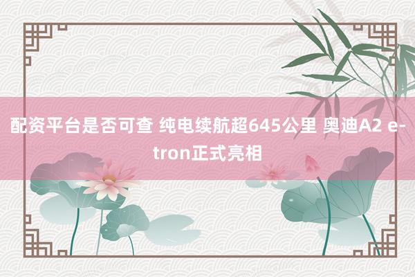配资平台是否可查 纯电续航超645公里 奥迪A2 e-tron正式亮相