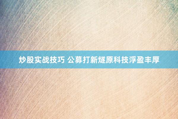 炒股实战技巧 公募打新燧原科技浮盈丰厚