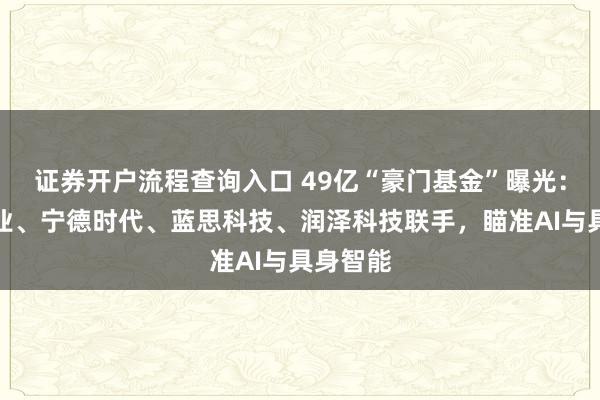 证券开户流程查询入口 49亿“豪门基金”曝光：紫金矿业、宁德时代、蓝思科技、润泽科技联手，瞄准AI与具身智能