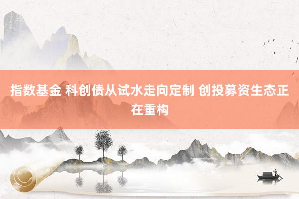 指数基金 科创债从试水走向定制 创投募资生态正在重构