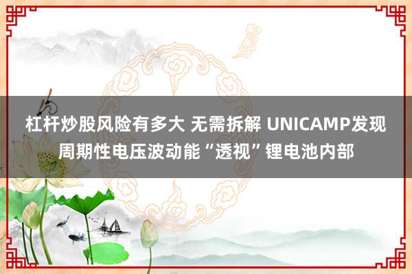 杠杆炒股风险有多大 无需拆解 UNICAMP发现周期性电压波动能“透视”锂电池内部